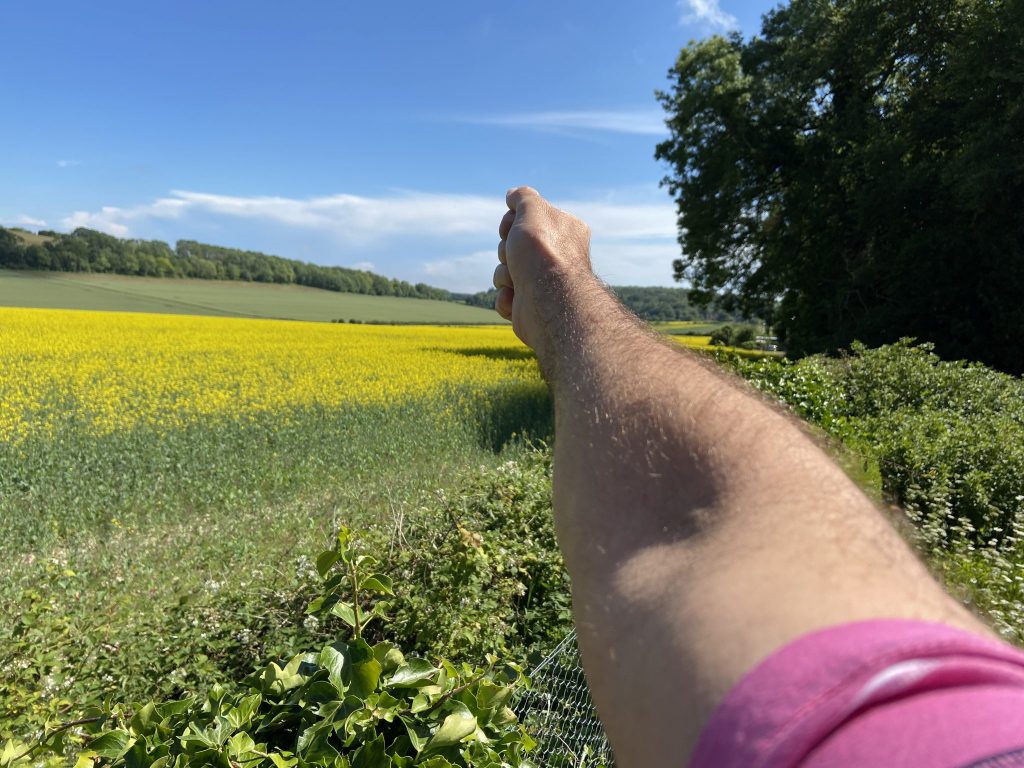 Man's hairy arm pointing outwards across a rapeseed field on a sunny summer's day