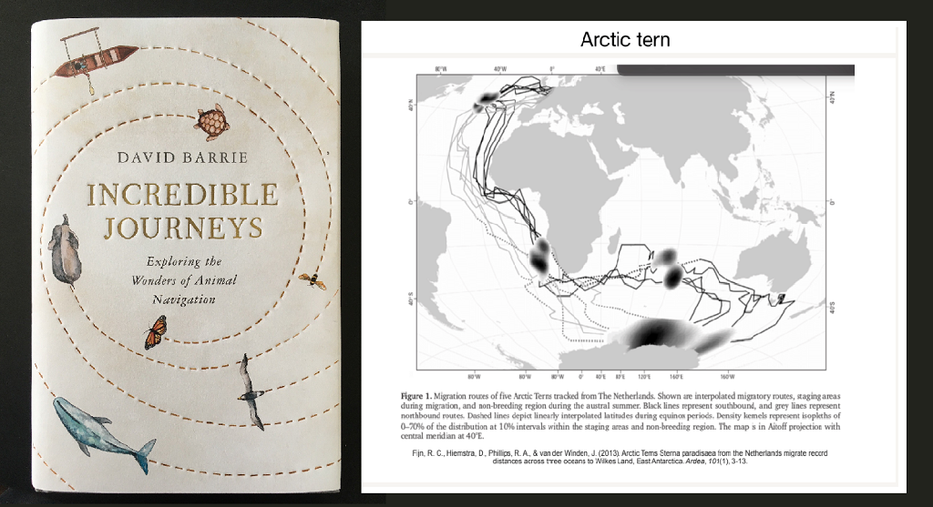 Front cover of David Barrie's book 'Incredible Journeys' and a map showing the migratory pattern of Terns