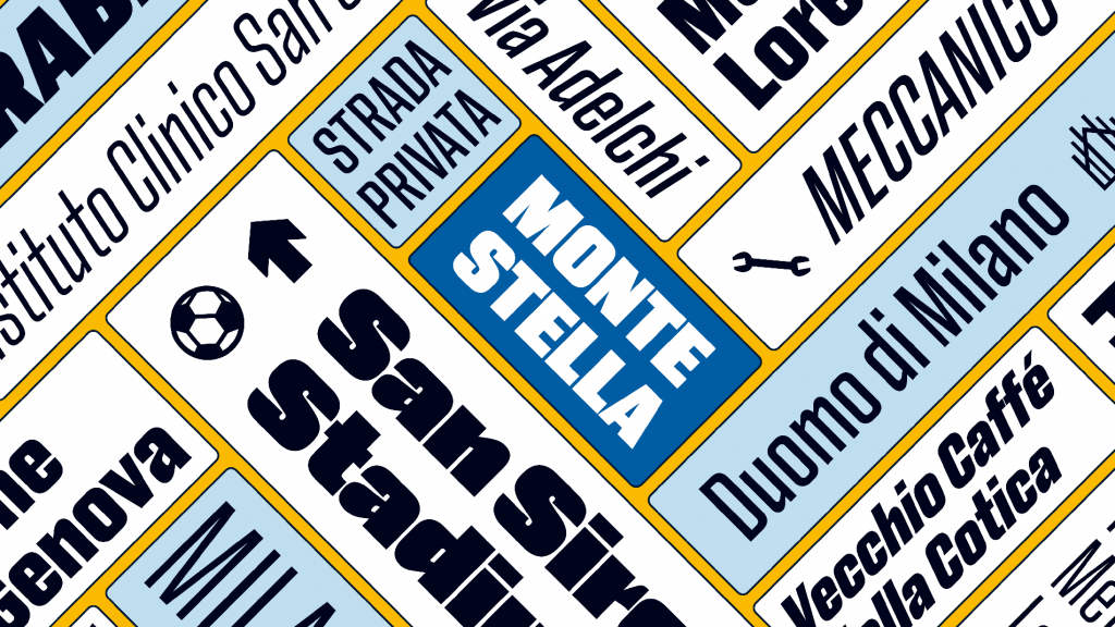 MonteStella_CaseStudyModule14