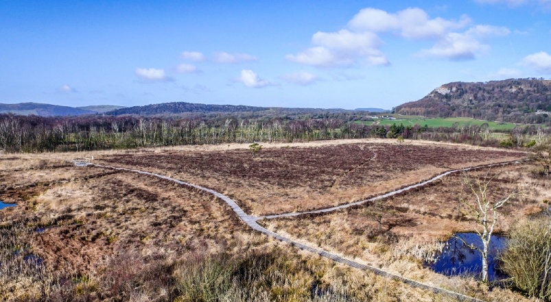 View over Cumbria Wildlife Trust peatlands