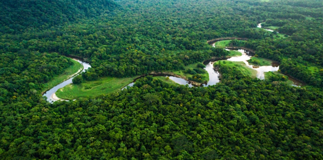 Aerial photo showing densely forested area with a river running through it.