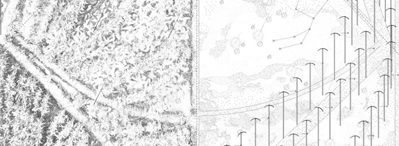 A split image showing an aerial view of dense forest on the left and a technical topographic drawing on the right, with contour lines and vertical T‑shaped markers indicating structural or survey elements.