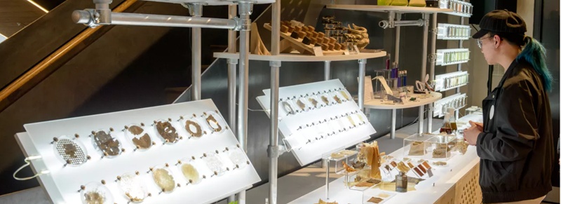 A person stands in front of a brightly lit exhibition display containing rows of small geometric and mechanical models mounted on metal frames, arranged like an organised design or engineering showcase.