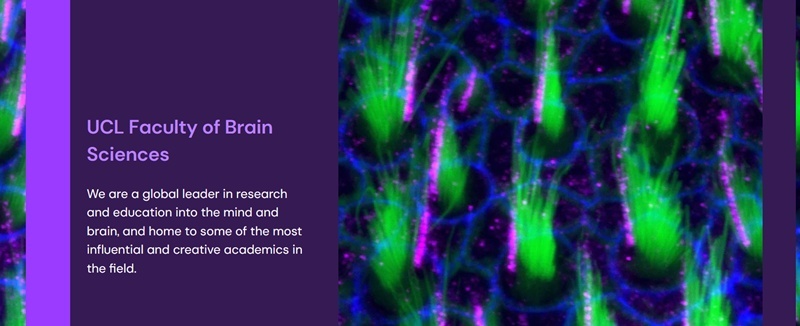 UCL Brain Sciences: Conversations about Behaviour Change